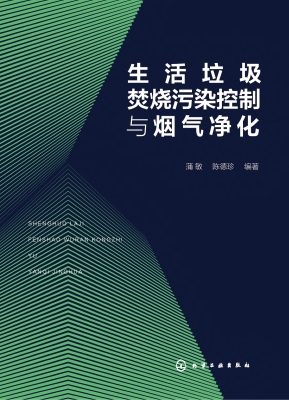 生活垃圾焚烧污染控制