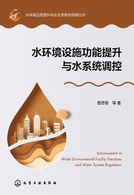 水环境设施功能提升与