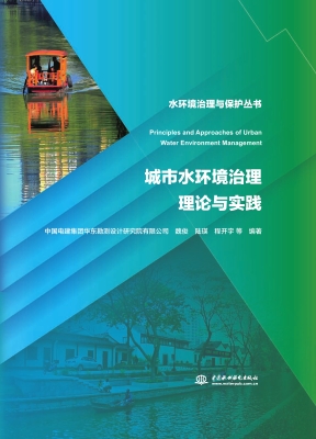 城市水环境治理理论与