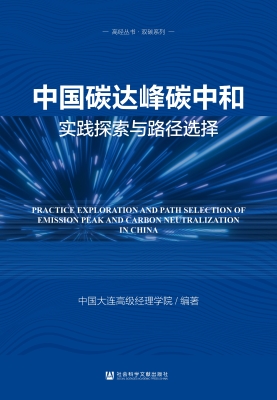 中国碳达峰碳中和实践