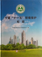 宁夏“十一五”环境保