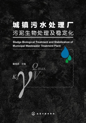 城镇污水处理厂污泥生