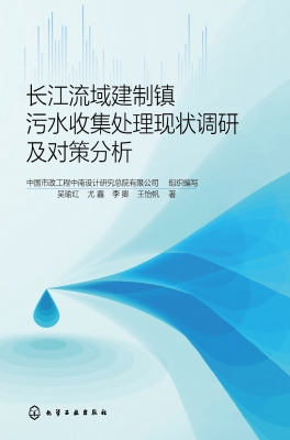 长江流域建制镇污水收