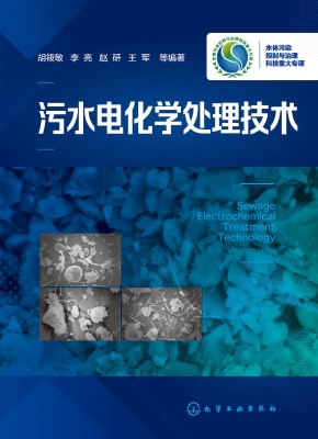 污水电化学处理技术