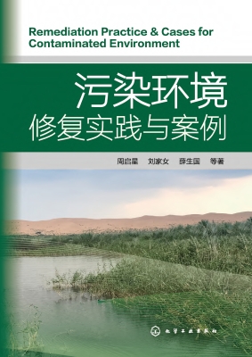 污染环境修复实践与案