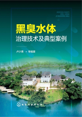 黑臭水体治理技术及典