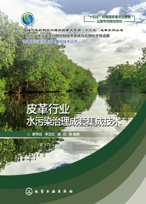皮革行业水污染治理成