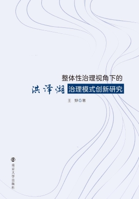 整体性治理视角下的洪