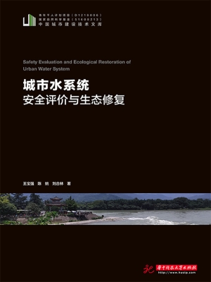 城市水系统安全评价与