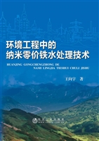 环境工程中的纳米零价