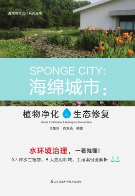 海绵城市：植物净化与生