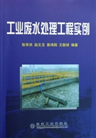 工业废水处理工程实例