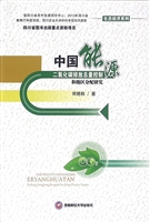 中国能源二氧化碳排放