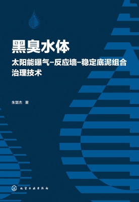 黑臭水体太阳能曝气-