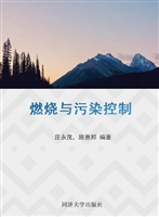 燃烧与污染控制