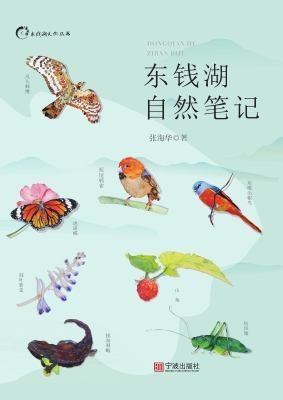 东钱湖自然笔记