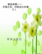 银色传奇——灭顶之灾