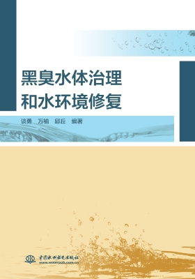 黑臭水体治理和水环境