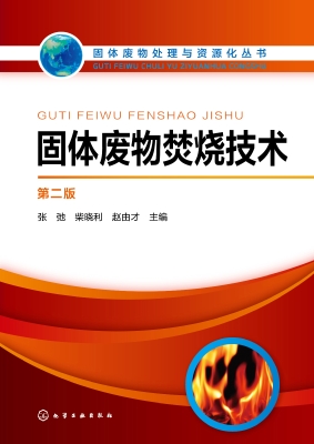 固体废物焚烧技术