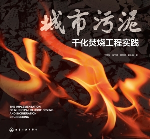 城市污泥干化焚烧工程