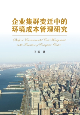 企业集群变迁中的环境