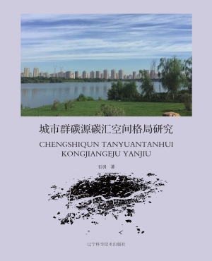 城市群碳源碳汇空间格