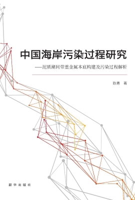 中国海岸污染过程研究