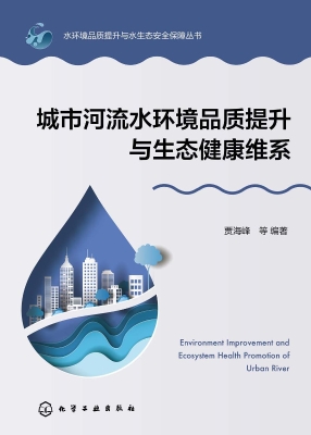 城市河流水环境品质提
