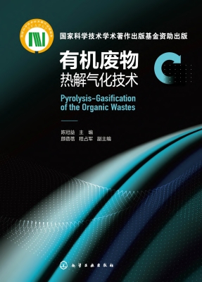 有机废物热解气化技术