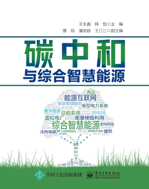 碳中和与综合智慧能源