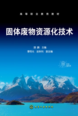 固体废物资源化技术