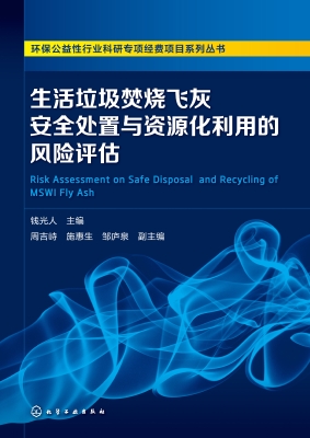 生活垃圾焚烧飞灰安全