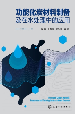功能化炭材料制备及在
