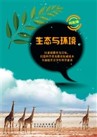生态与环境