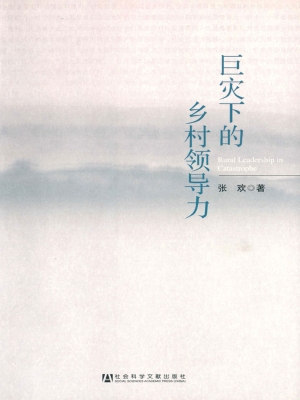 巨灾下的乡村领导力