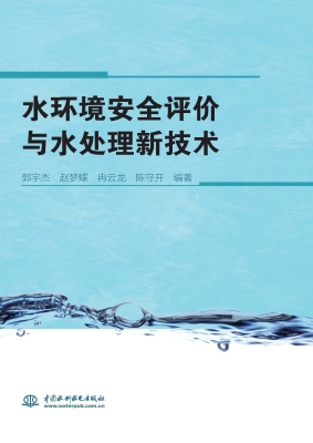 水环境安全评价与水处