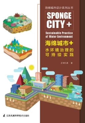 海绵城市+水环境治理