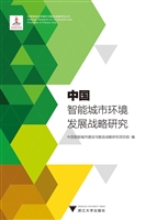 中国智能城市环境发展