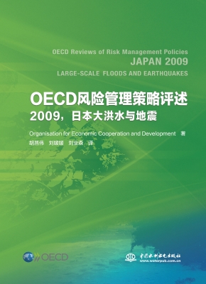 OECD风险管理策略评述