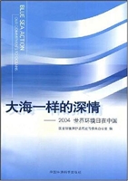 大海一样的深情：2004 