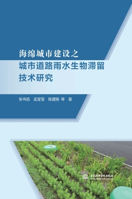 海绵城市建设之城市道