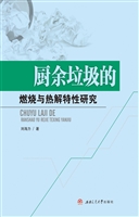 厨余垃圾的燃烧与热解