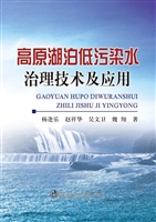 高原湖泊低污染水治理
