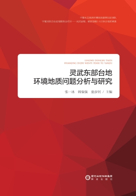 灵武东部台地环境地质