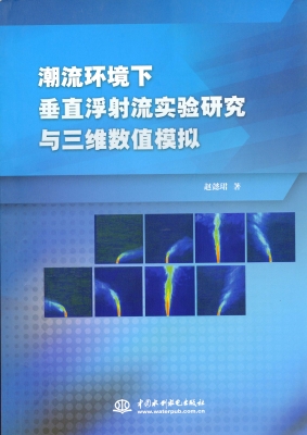 潮流环境下垂直浮射流
