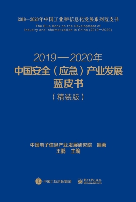 2019—2020年中国安全