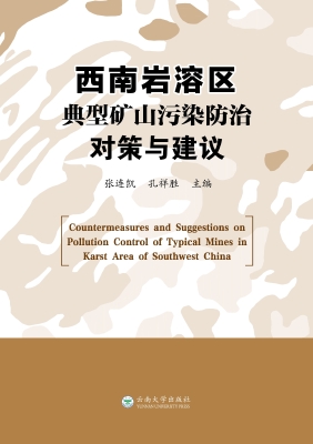 西南岩溶区典型矿山污