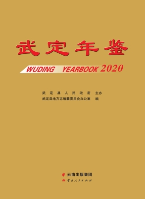 武定年鉴（2020）