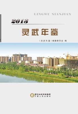 灵武年鉴（2013）
