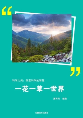 一花一草一世界